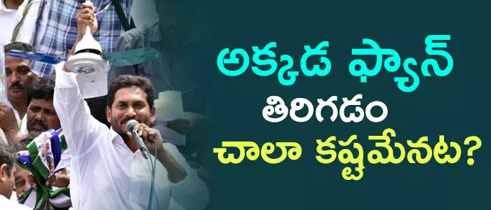 వైసీపీ వైసీపీ