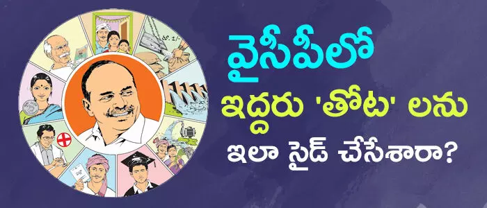 వైసీపీ వైసీపీ