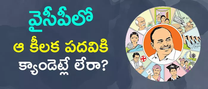 వైసీపీ వైసీపీ