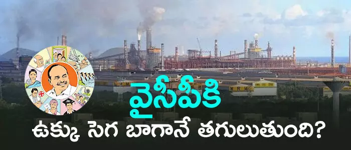 వైసీపీ వైసీపీ