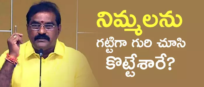 నిమ్మల రామానాయుడు