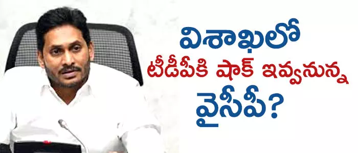 వైసీపీ వైసీపీ