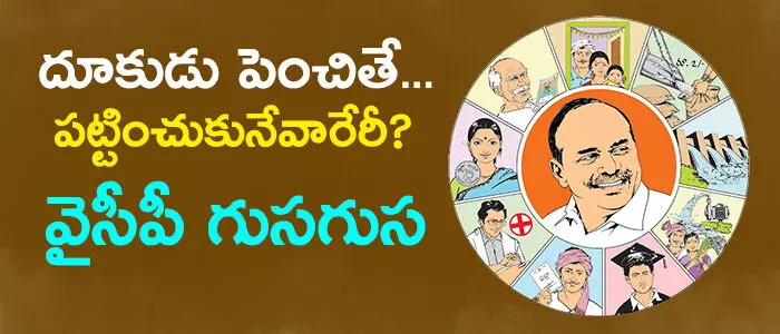 వైసీపీ వైసీపీ