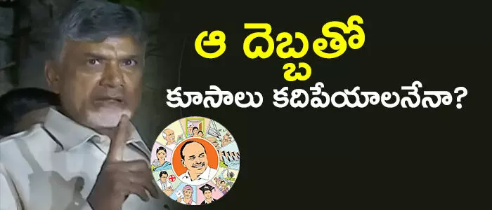 వైసీపీ వైసీపీ