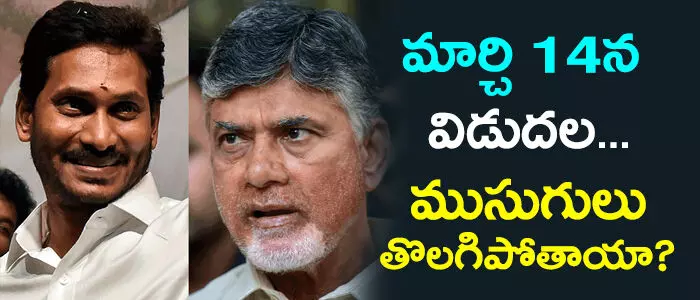 వైసీపీ వైసీపీ