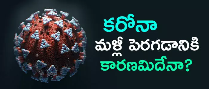 కరోనా కేసులు