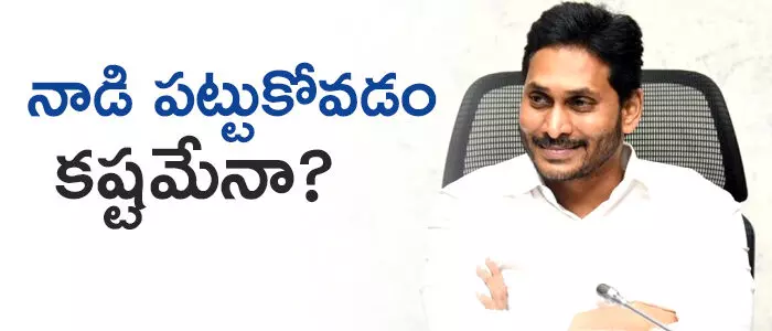వైసీపీ