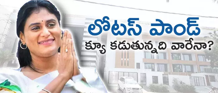 వైఎస్ షర్మిల వైఎస్ షర్మిల