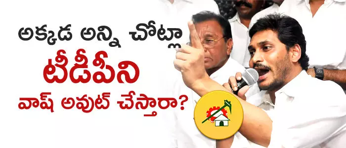 వైసీపీ వైసీపీ