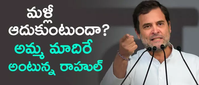 రాహుల్ గాంధీ రాహుల్ గాంధీ