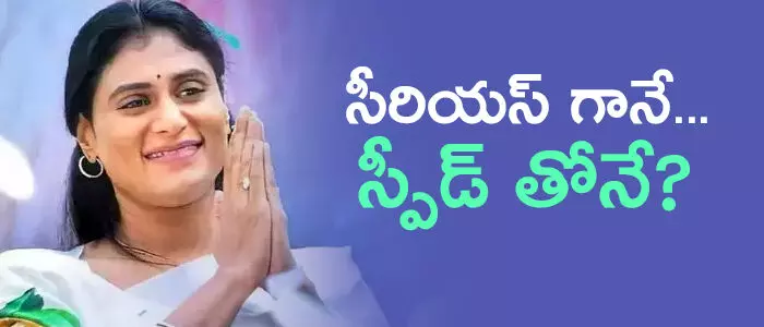 వైఎస్ షర్మిల వైఎస్ షర్మిల