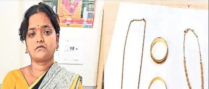 పనిమనిషి