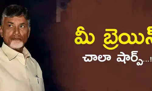 chandrababu naidu telugudesamparty white papers