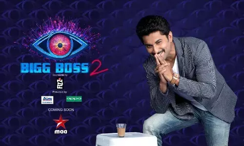 big boss 3 contestents