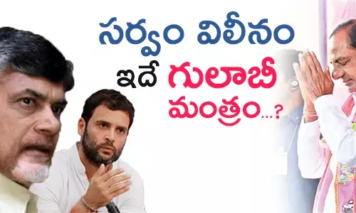 elections 2019 telugu post telugu news