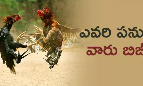 cockfithts-in-godavaridistricts