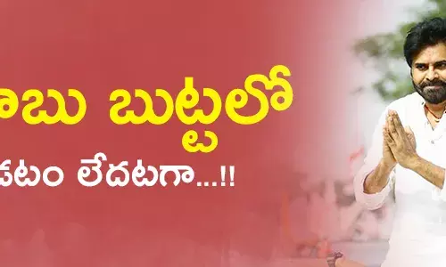 pawankalyan telugudesamparty