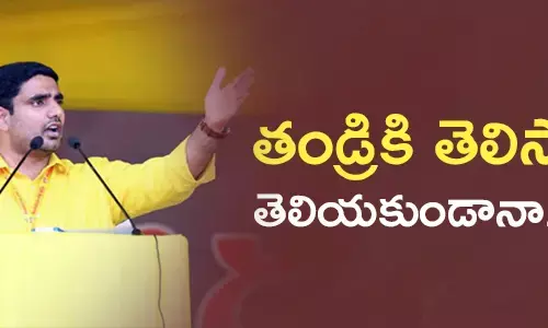 nara lokesh narachandrababunaidu telugudesamparty