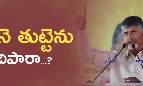 nara chandrababunaidu castes corporations