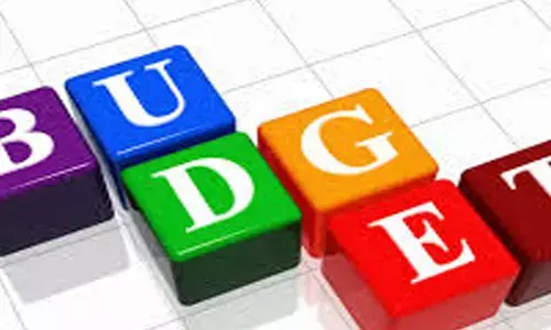 congress comments on budget