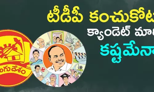 nellimarla election story