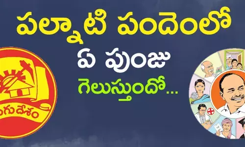 gurajala assembly elections