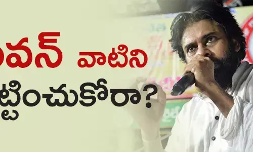 pawan-kalyan-data-breach-form-7-contraversies