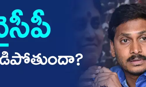 telugudesam-hopes-on-ysrcp-seat