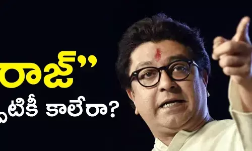 rajthakre maharashtra navanirmana sena