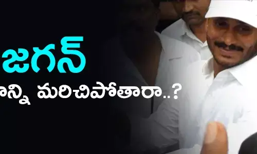 ysr-congress-chief-jagan-central-politics