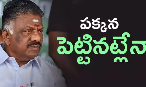 panneer-selvam-narendra-modi