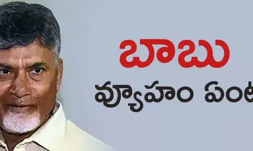 బాబు వ్యూహం ఏంటి ?