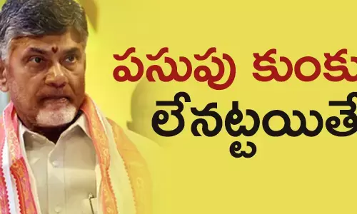 చంద్రబాబు నాయుడు