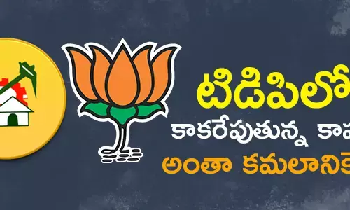 చంద్రబాబు నాయుడు