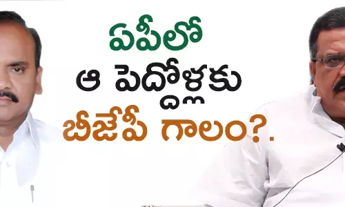 ఆంధ్రప్రదేశ్ బీజేపీ