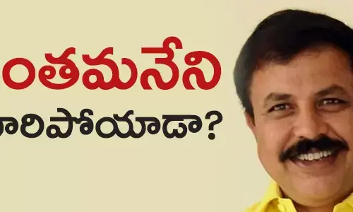 చింతమనేని ప్రభాకర్
