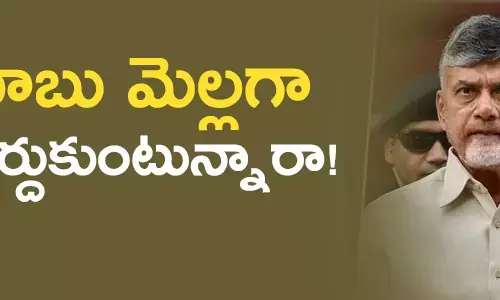 చంద్రబాబు నాయుడు