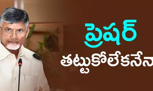 చంద్రబాబు నాయుడు