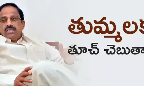 తుమ్మల నాగేశ్వరరావు