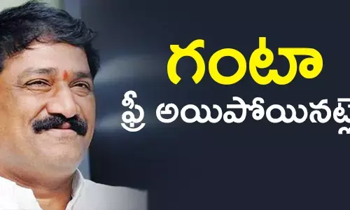 గంటా శ్రీనివాసరావు