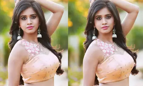 ఇస్మార్ట్ శంకర్ నాభ నటేష్