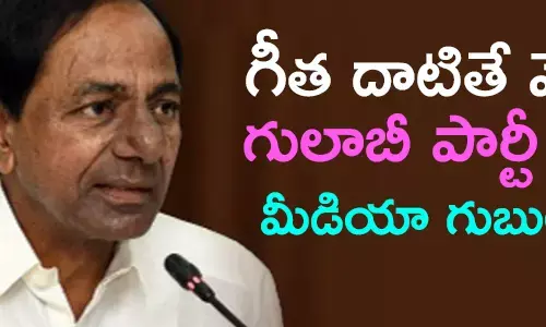 గీత దాటితే వేటే … గులాబీ పార్టీ లో మీడియా గుబులు ?