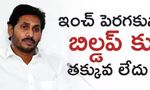 బీజేపీ, జగన్