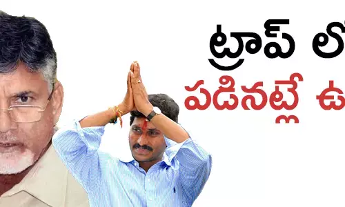 వైసిపి