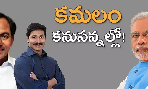 బీజేపీ