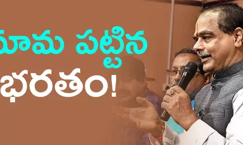 తమ్మినేని సీతారాం