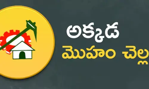 వైసీపీ