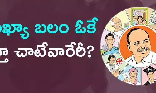 సంఖ్యా బ‌లం ఓకే.. స‌త్తా చాటేవారేరీ ?