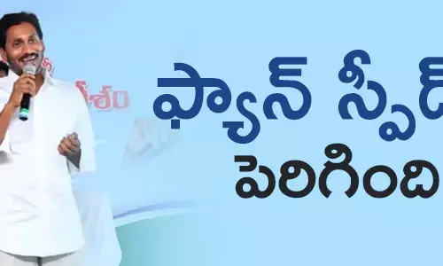 వైసీపీ