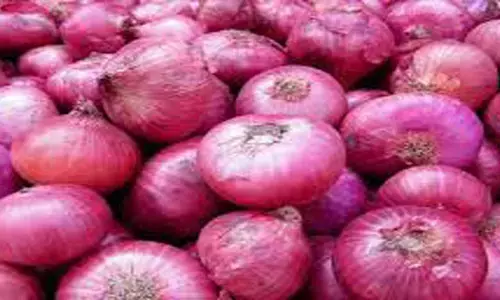 ఉల్లి ఏడిపిస్తుంటే…..బొప్పాయి బెంబేలెత్తిస్తోంది